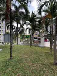 Blk 537 Pasir Ris Street 51 (Pasir Ris), HDB Executive #491769391